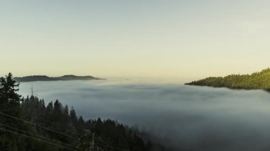 Jackson Eyalet Ormanında Sis Akıntısı Temiz Gökyüzü Zaman Çizelgesi
