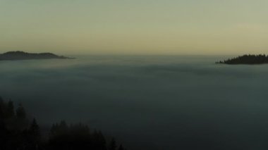 Jackson Eyalet Ormanında Sis Akıntısı Temiz Gökyüzü Zaman Çizelgesi