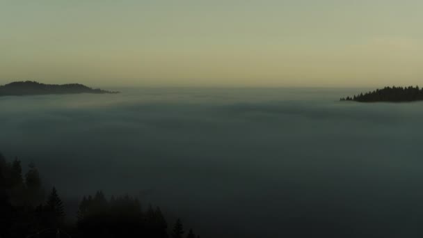 Mlha Teče Nad Jackson State Forest Clear Sky Timelapse — Stock video