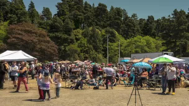 Più Grande Barbecue Salmone Del Mondo Fort Bragg Crowds People — Video Stock