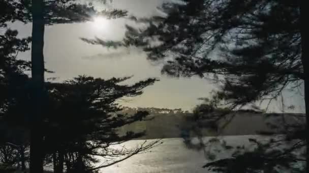 Sunny Day Lake Merced San Francisco Windy Timelapse — Vídeo de Stock