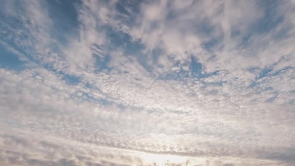 Gyönyörű Fehér Bolyhos Felhők Múló Fölött Blue Sky Timelapse — Stock videók