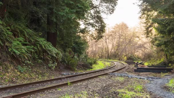 Världsberömda Skunk Train Fort Bragg Railway Timelapse — Stockvideo