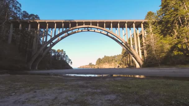 Man Loopt Naar Het Strand Terug Naar Russische Gulch State — Stockvideo