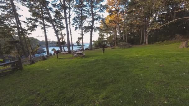 Timelapse White Male Pacing Exercising Picnic Area Russian Gulch State — Vídeo de Stock