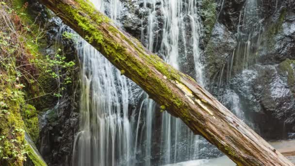 Waterval Met Watervallen Log Front Green Moss Timelapse Russian Gulch — Stockvideo