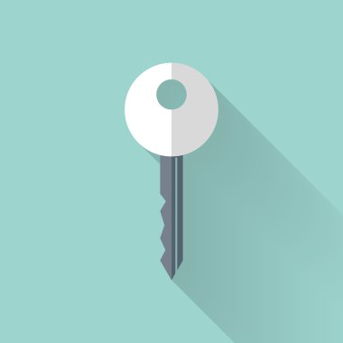 düz anahtar simgesinin üzerine nane