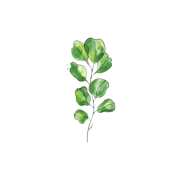 Green Watercolor Plant — стоковый вектор