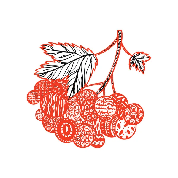 Viburnum Met Hand Getekend Schets Vector Illustratie Van Handgetekende Plant — Stockvector