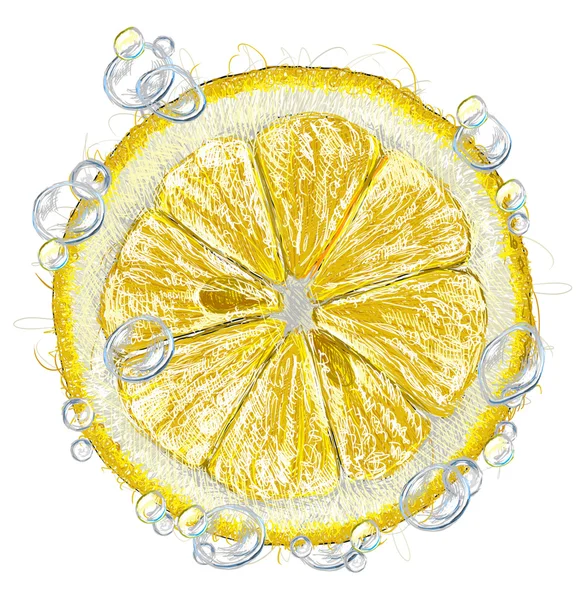 Una rebanada de limón Imagen de stock