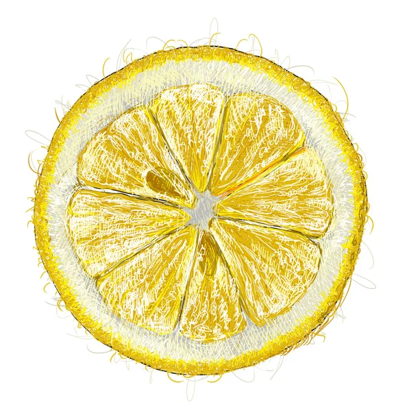 Una rebanada de limón Fotos de stock libres de derechos