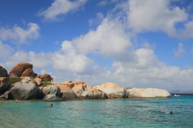 Şeytan defne. Virgin gorda, tortola
