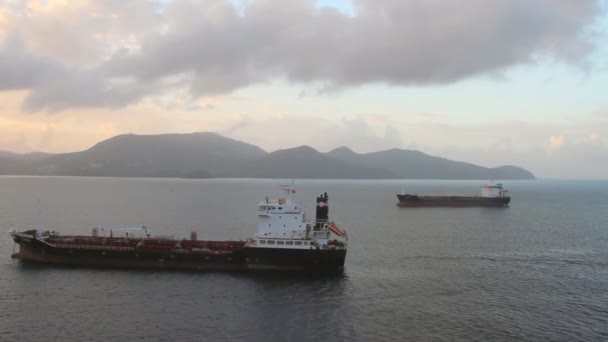 Cargo vessels on raid. Fort-de-France, Martinique — Stock Video