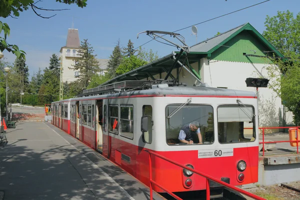 Tramvay no.60, son durak - secheni'nın dağ dişli. Budapeşte, Macaristan — Stok fotoğraf