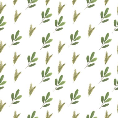 Yeşil köknar dalları suluboya çizimleri kusursuz desenler 