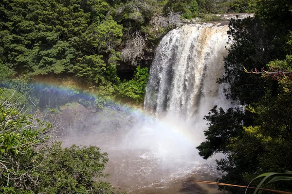 Una cascata arcobaleno vicino a Kawakawa, Nuova Zelanda — Foto Stock