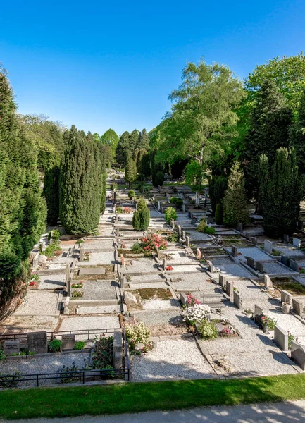 Graveyards Alley Lagard Burial Ground Spring Old Cemetery Stavanger City — Stock Photo, Image