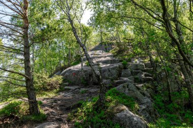 Lifjel Dağı 'na tırmanmak için işaretli yürüyüş yolu, Sandnes, Norveç, Mayıs 2018