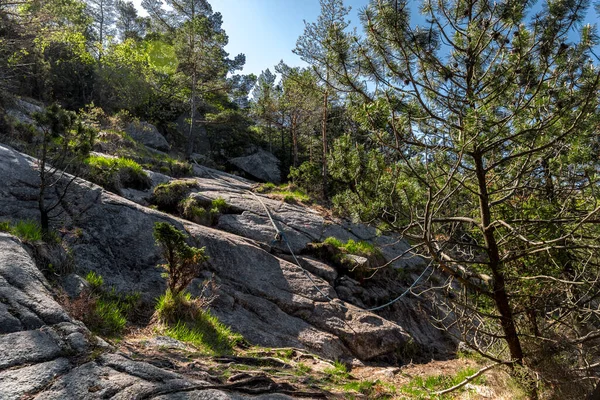 Lifjel Dağı, Sandnes, Norveç, Mayıs 2018 'e giden yürüyüş rotasında bir tırmanma destek ipi.