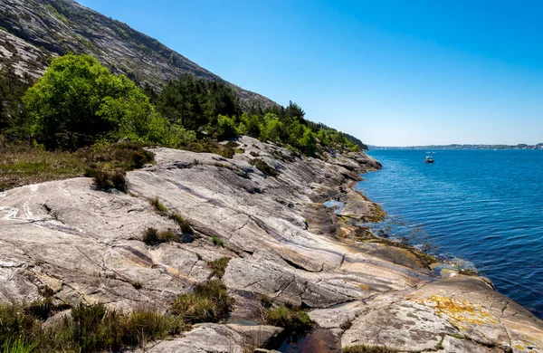 Lifjel Felsküste Gandsfjord Beim Wandern Einem Sonnigen Sommertag Sandnes Norwegen — Stockfoto