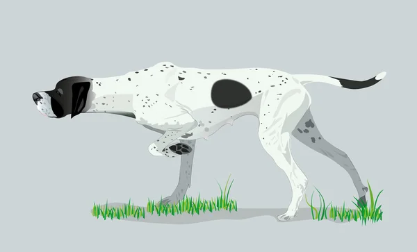 Perro blanco — Vector de stock