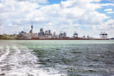 Auckland deniz manzarası
