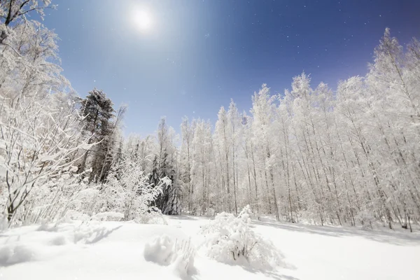 Снежный пейзаж при ярком лунном свете — стоковое фото