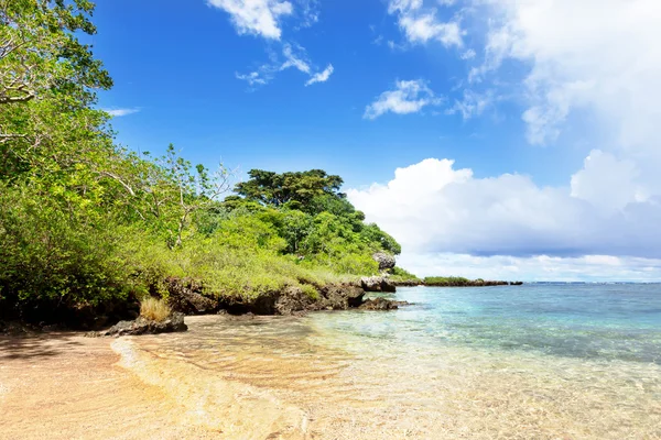 Tropisk strand med träd i bakgrunden — Stockfoto