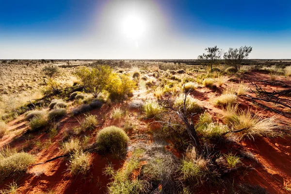 Australisches Outback — Stockfoto