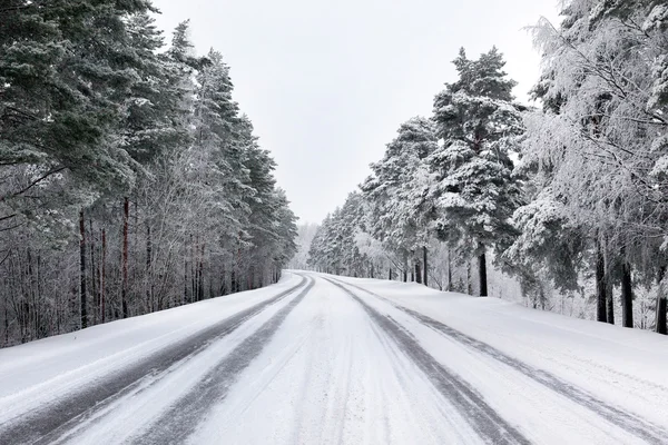 大雪覆盖的街道，穿过森林 — 图库照片