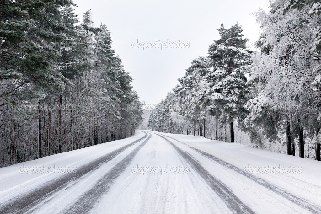 Snowy street through forest