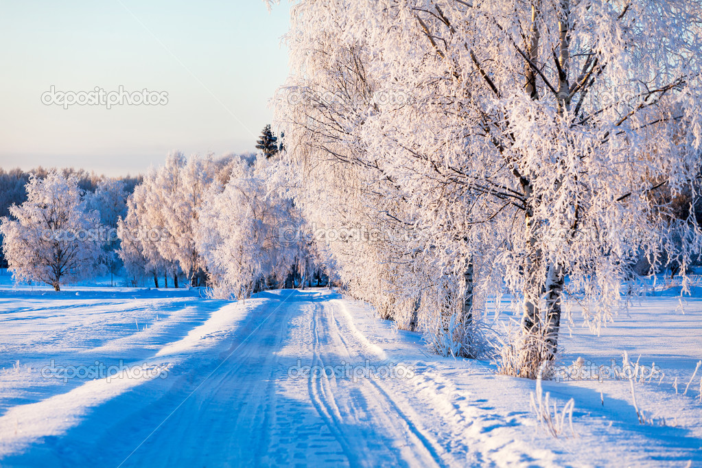 Small country road in winter