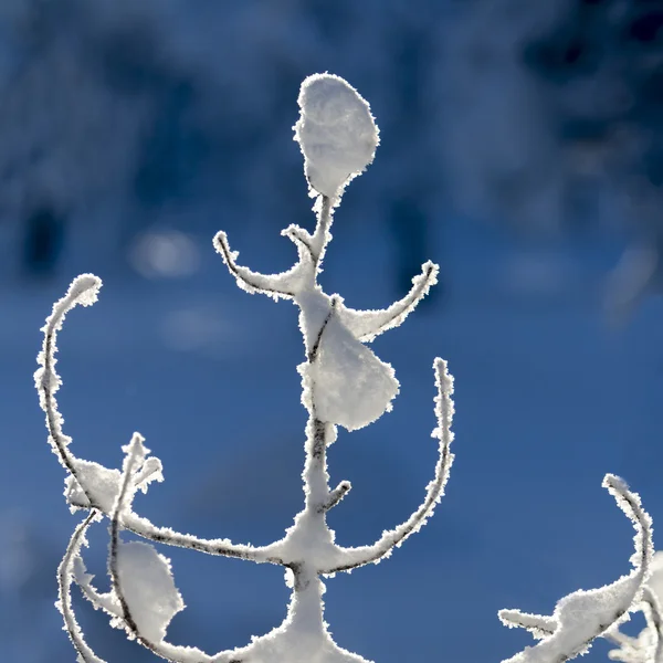 Äste mit Haufen von weichem Schnee bedeckt — Stockfoto