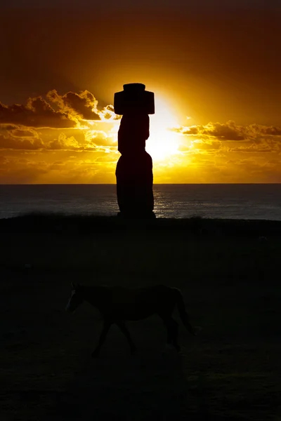 Moai de pé ao pôr do sol na Ilha de Páscoa — Fotografia de Stock