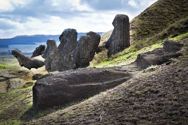 Moai başkanları ve döşeme moai rano raruku dağ Paskalya Adası