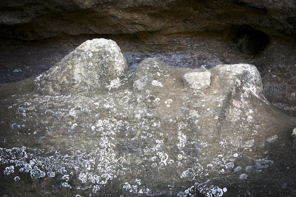 Primer plano de un rostro de un moai caído en la Isla de Pascua — Foto de Stock