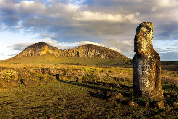 Un moai de pie a la luz del sol en la Isla de Pascua —  Fotos de Stock