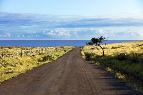 Straight gravel road in Easter Island — Stock Photo, Image
