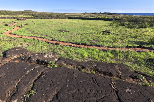 Tallados en la roca en Isla de Pascua — Foto de Stock