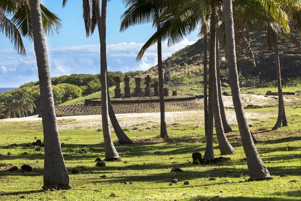 Moais arkasında palmiye ağaçları — Stok fotoğraf