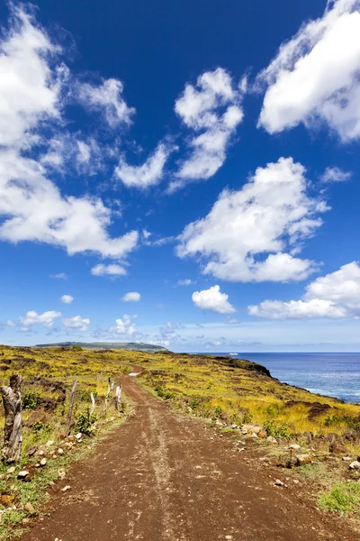 Křivolaké štěrková cesta v Velikonoční ostrov — Stock fotografie