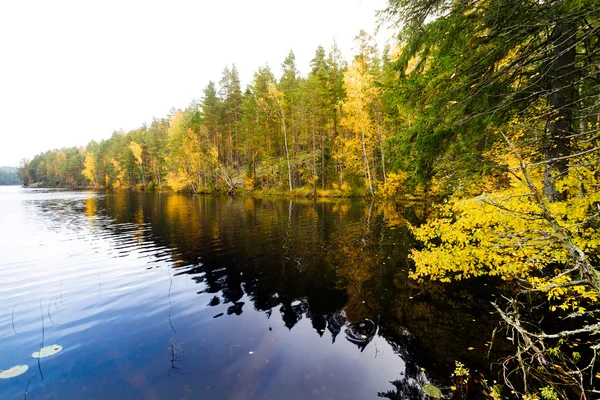 Hösten skogen och en lugn sjö — Stockfoto