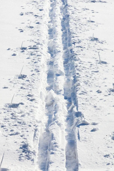 Cross country ski tracks — Stock Photo, Image