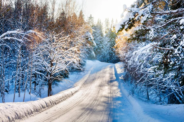 Kleine Landstraße im Winter mit Sonnenschein auf schneebedeckten Bäumen — Stockfoto