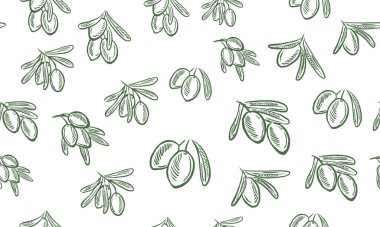 Bir dalda zeytin, el çizimi, vektör çizimleri.