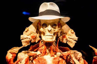 Rusya, Moskova, 31 Mayıs 2021: İnsan Anatomisi Sergisi Yazan Gunther von Hagens. Anatomi uzmanı, plastinasyon denen biyolojik doku örneklerini koruma tekniğini icat etti..
