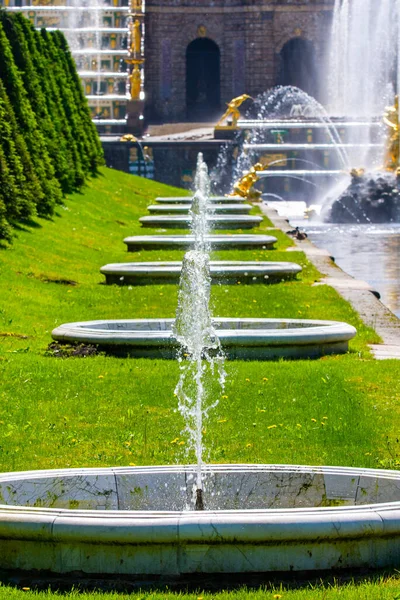 Fila de fuentes sobre hierba verde, fondo de jardín — Foto de Stock