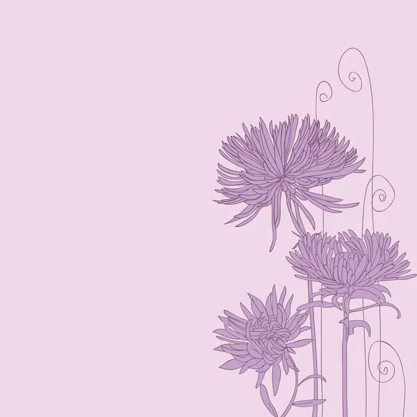 Fond violet avec asters fleurs . — Image vectorielle