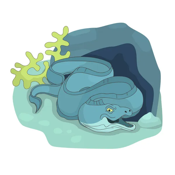 Ilustración Vectorial Moray Eel — Archivo Imágenes Vectoriales