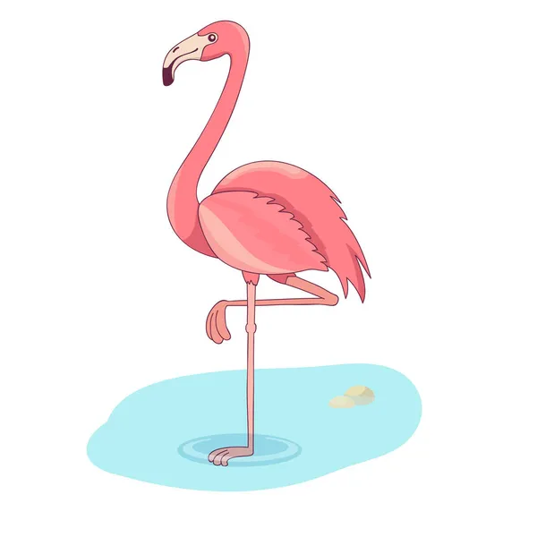 Векторная Иллюстрация Розового Фламинго Белом Фоне — стоковый вектор